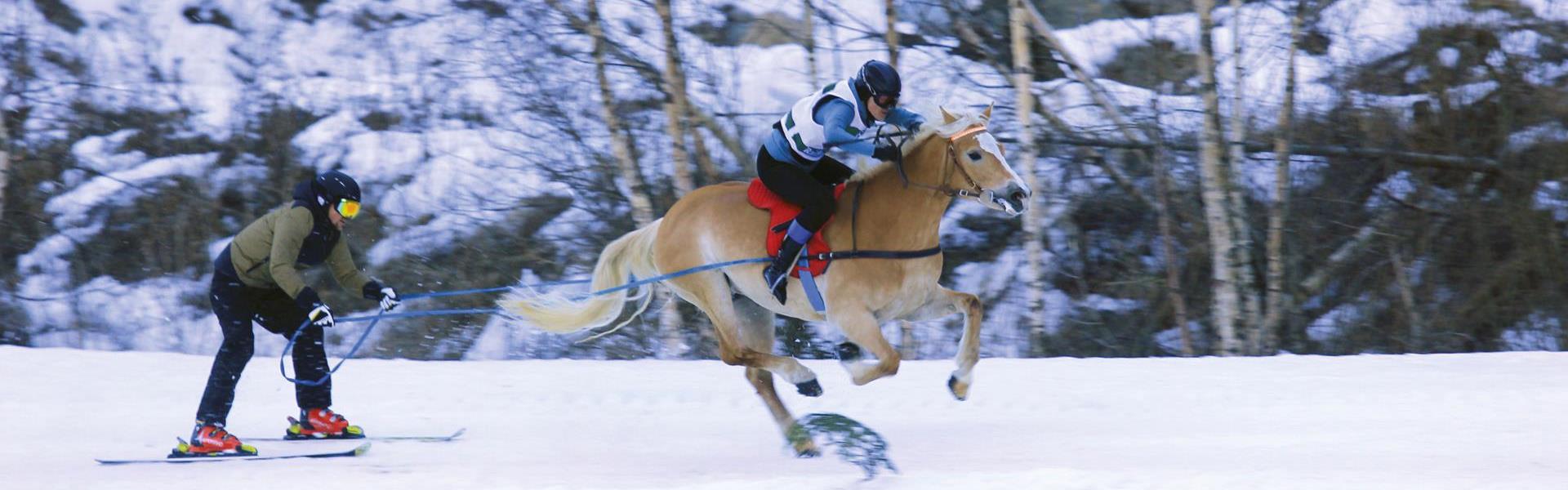 landesmeisterschaft-schlittenfahren-skijoering-01